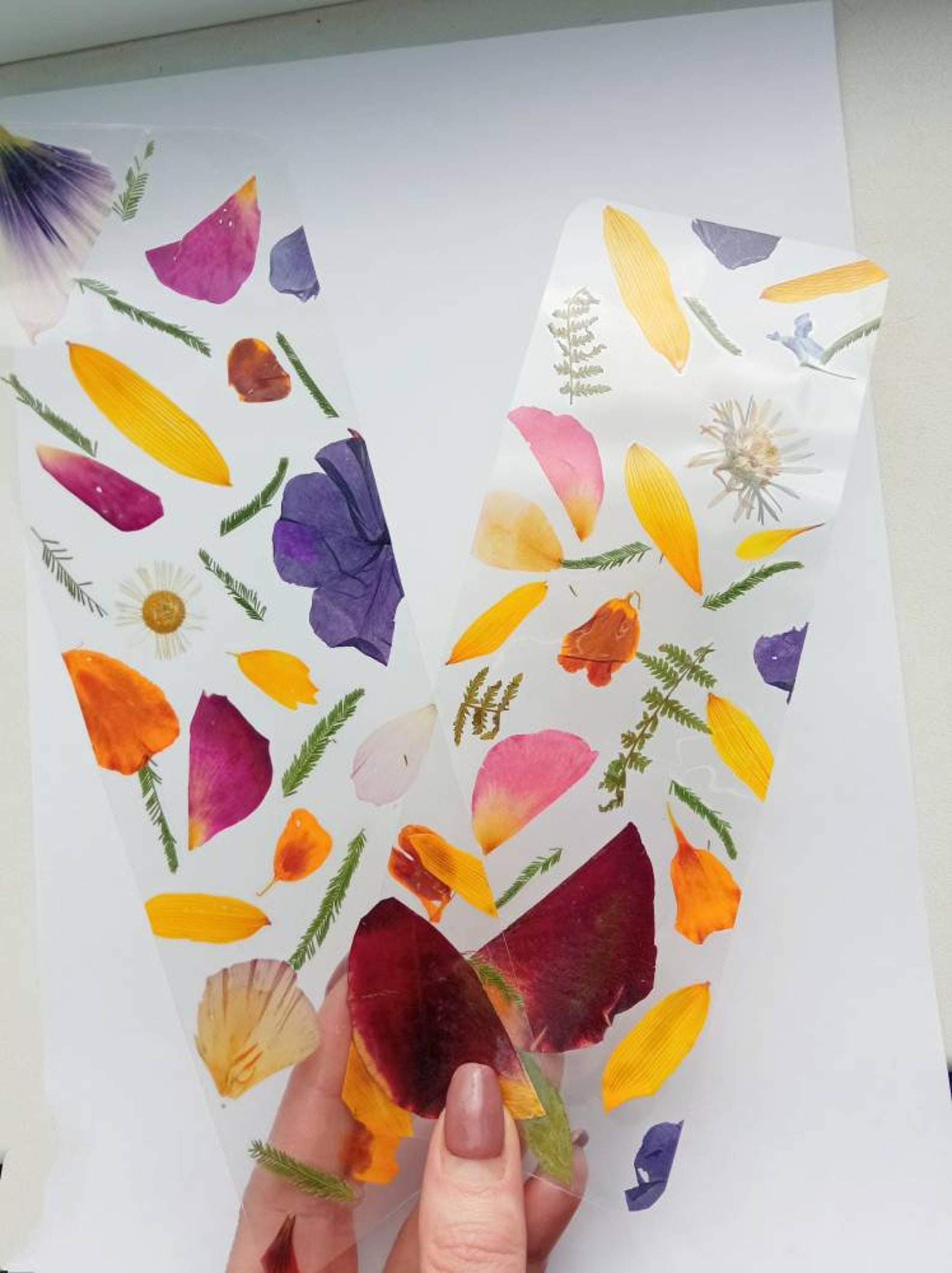 Laminated pressed flowers bookmarks drу pressed flowers Etsy