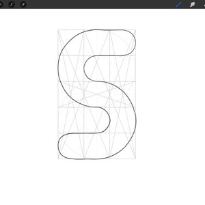 May include: A black and white illustration of the letter 'S' drawn on a grid.