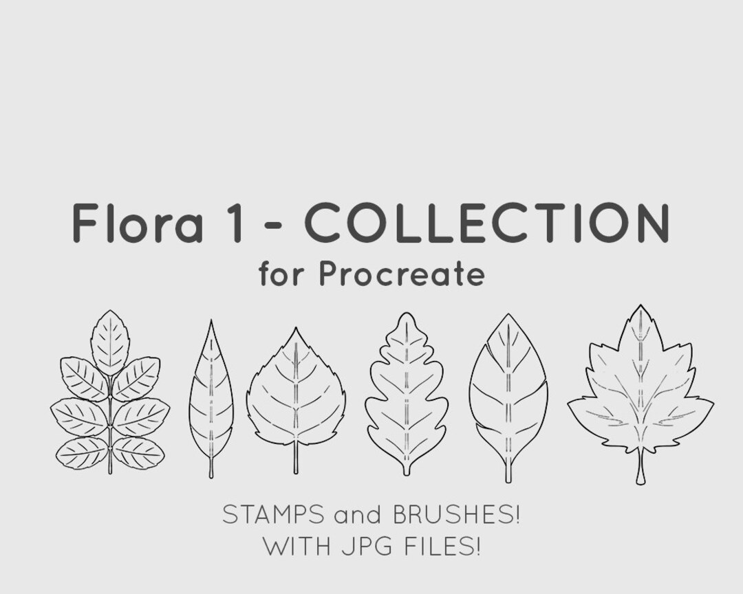 Flora 1 6 different Leaf Brush / Stamp for iPad Procreate Line Art ...