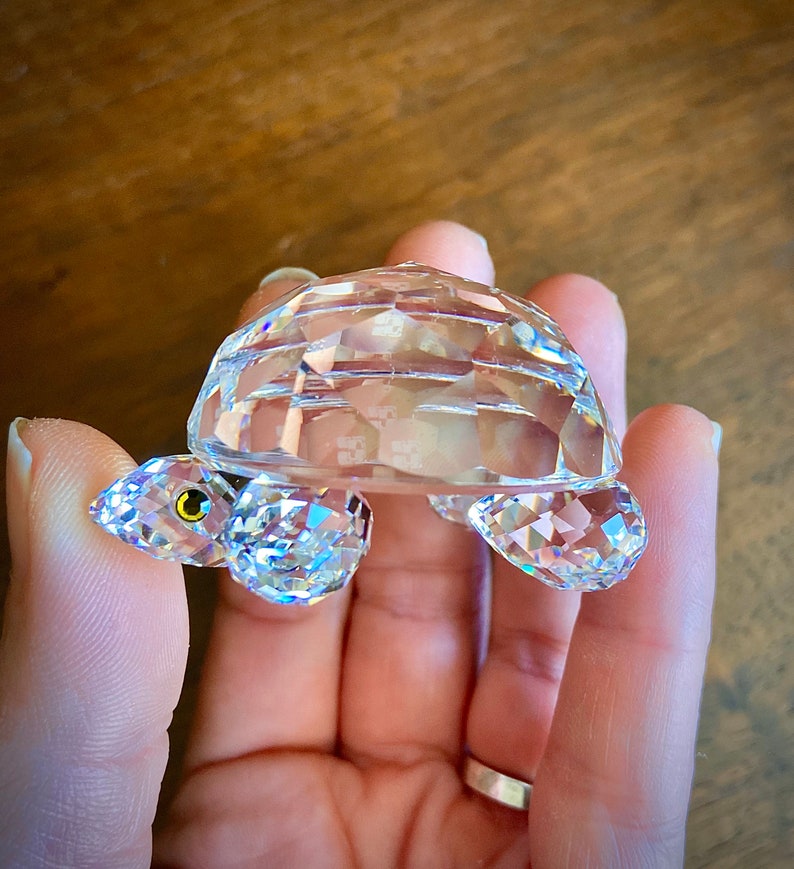 swarovski shelly the turtle