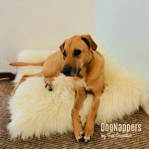 DogNappers Pet Bed - Soft Shaggy Faux Fur - Mongolian Sheepskin - Padded Comfort - Perfect For Cats Dogs or Humans - Every Color and Size