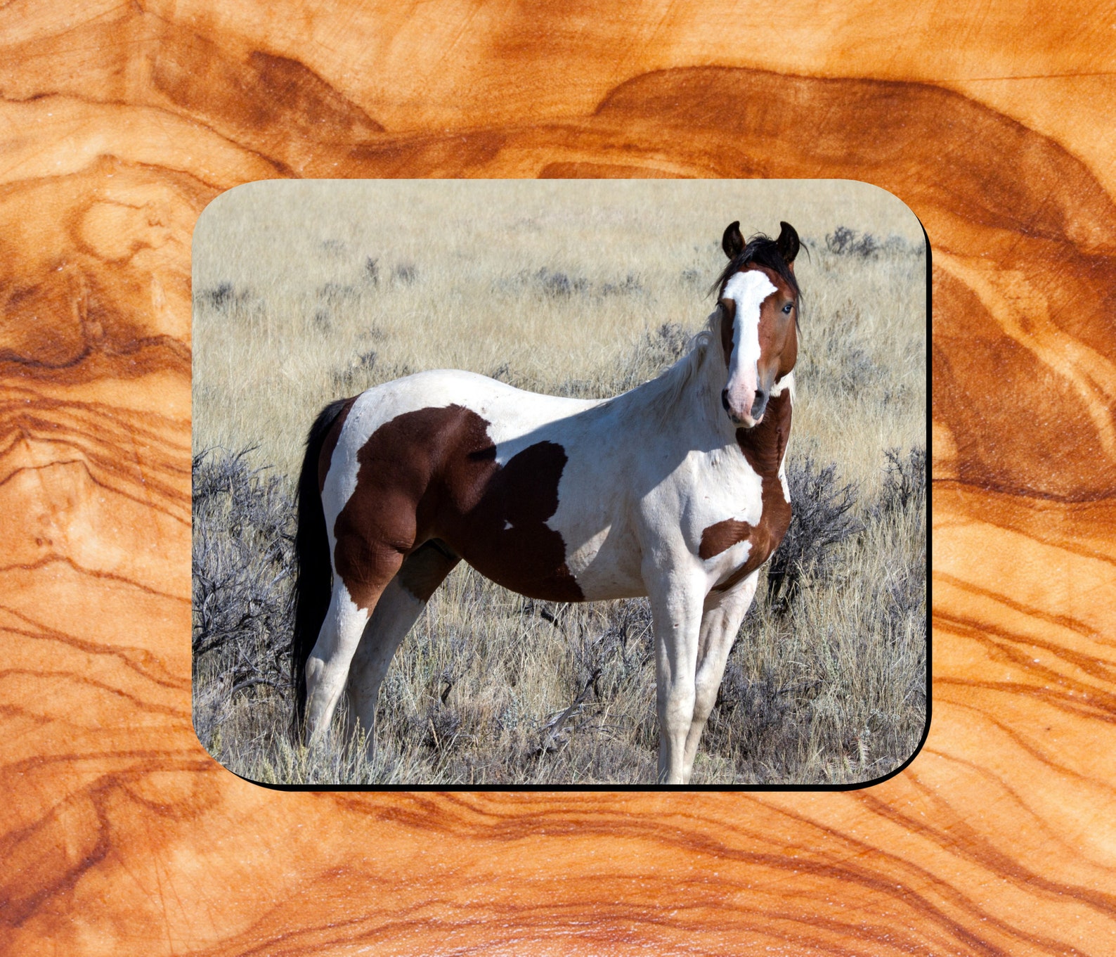 Horse Mouse Pad Horse Lover Mousepad Etsy
