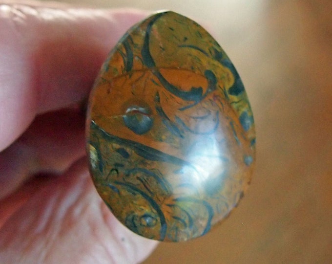 Chowder Stone Clam Chowder Fossil Stone Cabochon - Etsy