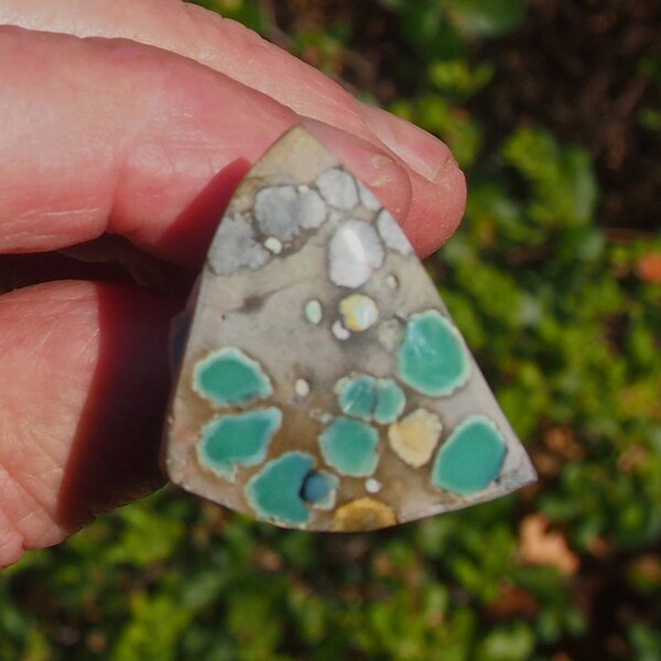 Desert Bloom Variscite Cabochon Etsy