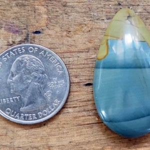 Blue Mountain Jasper Cabochon