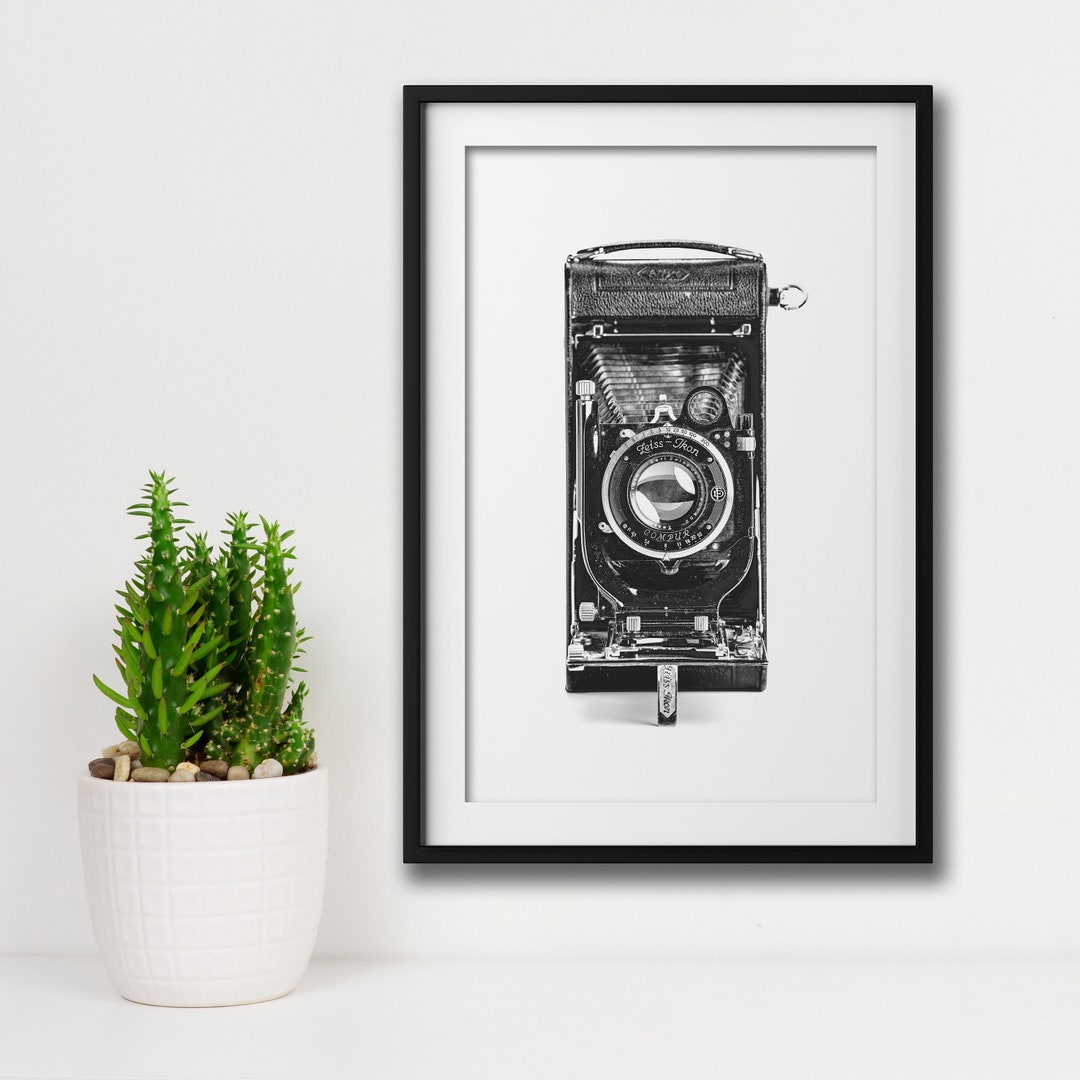 Vintage Camera Wall Art, Framed Wall Art, Living Room Framed Art