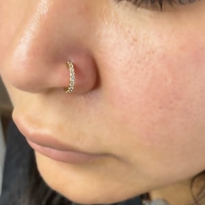 May include: A gold nose ring with small clear stones set in a circle.