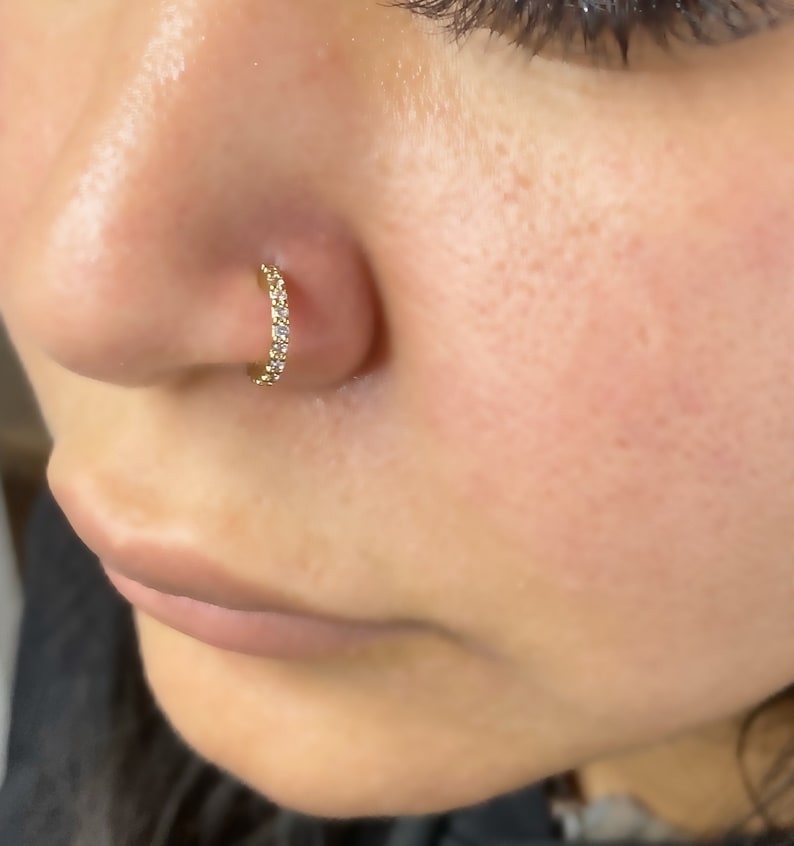 May include: A gold nose ring with small clear stones set in a circle.
