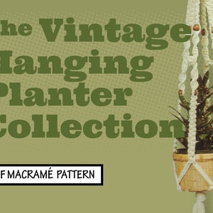 Puede incluir: La colección de macetas colgantes vintage - Patrón de macramé PDF. Una maceta colgante de macramé blanco con una pequeña planta en su interior y cuentas de madera. La maceta está colgada en la parte superior de la imagen.
