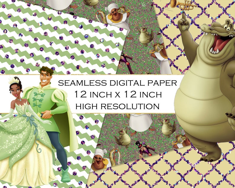 Princess and the frog summary picture