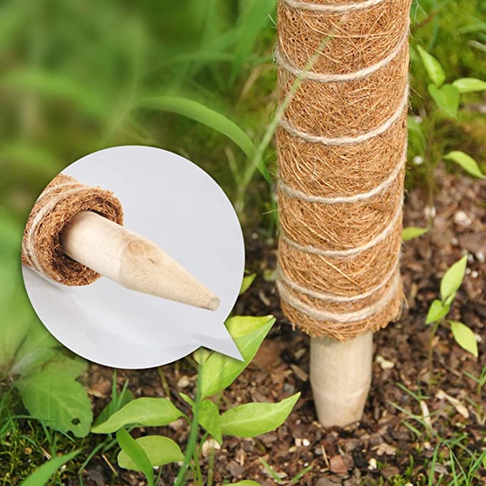 Coco coir totem plants monstera garden small extension