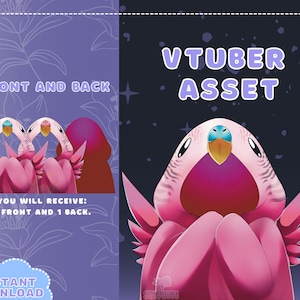 VTUBER Assets - Pink Bird Cloak | Blanket | Twitch Overlay | Streaming Assets | Discord | Jacket | PNG Tuber | GIFTuber | Vtuber Accessory |