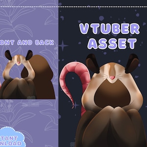 May include: A digital illustration of a brown and white animal with a pink tail, wearing a brown hooded outfit. The animal is sitting with its paws crossed and has a friendly expression. The text "VTUBER ASSET" is written in purple letters at the top of the image.