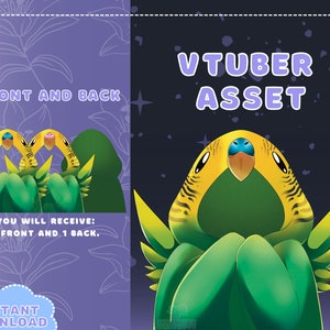 VTUBER Assets - Green Bird Cloak | Blanket | Twitch | Streaming | Discord | Custom | Jacket | PNGTuber | GIF Tuber | Accessory | Cute