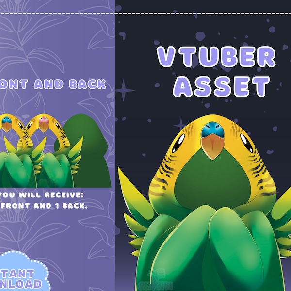 VTUBER Assets - Green Bird Cloak | Blanket | Twitch | Streaming | Discord | Custom | Jacket | PNGTuber | GIF Tuber | Accessory | Cute