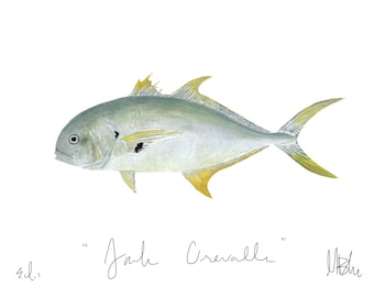 Jack Crevalle Print