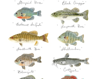 Empreinte de poisson d’eau douce