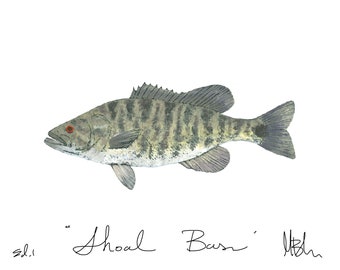 Basse-bassin