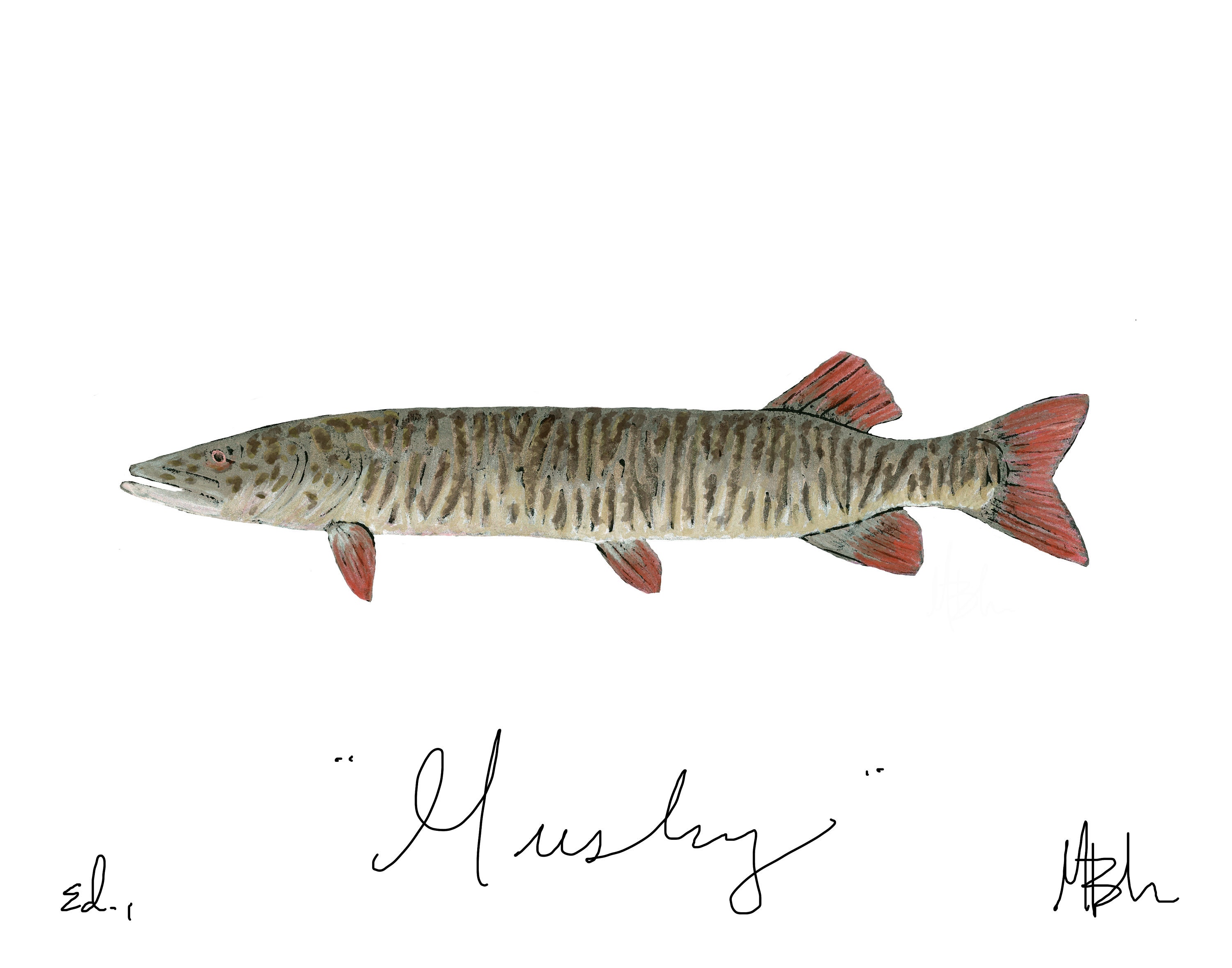 Musky Graphics Musky - Etsy
