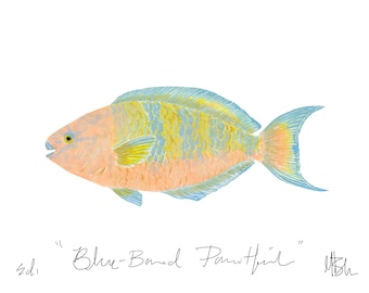 Blue-Barred Parrotfish Print