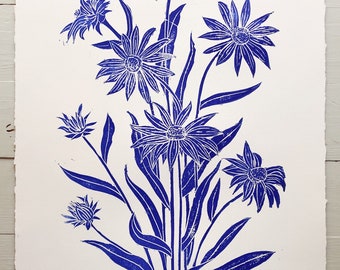 Schwarzäugige Muschel in Ultramarinblau 