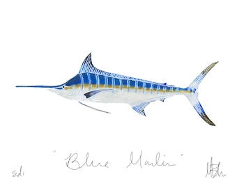 Blue Marlin