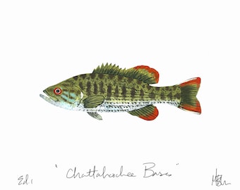 Chattahoochee Bass Print