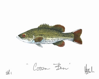 Coosa Bass Print