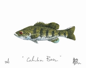 Cahaba Bass Print