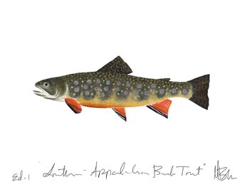 Southern - Appalachian Brook Trout Print