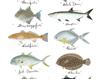 Saltwater Fish Print
