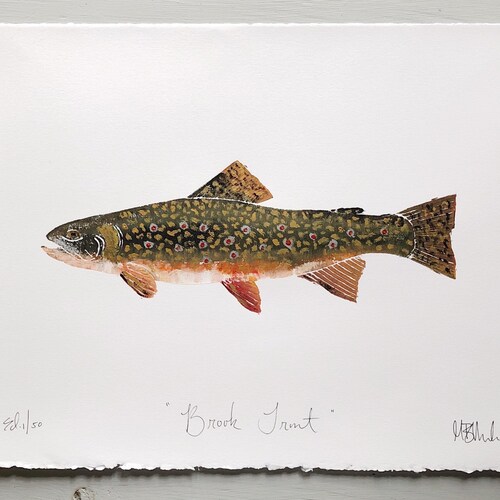 Brook Trout Art Print Watercolor Painting Fly Fishing Art Etsy