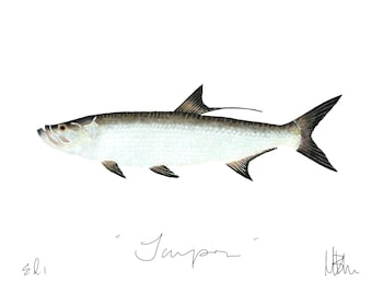Tarpon Print