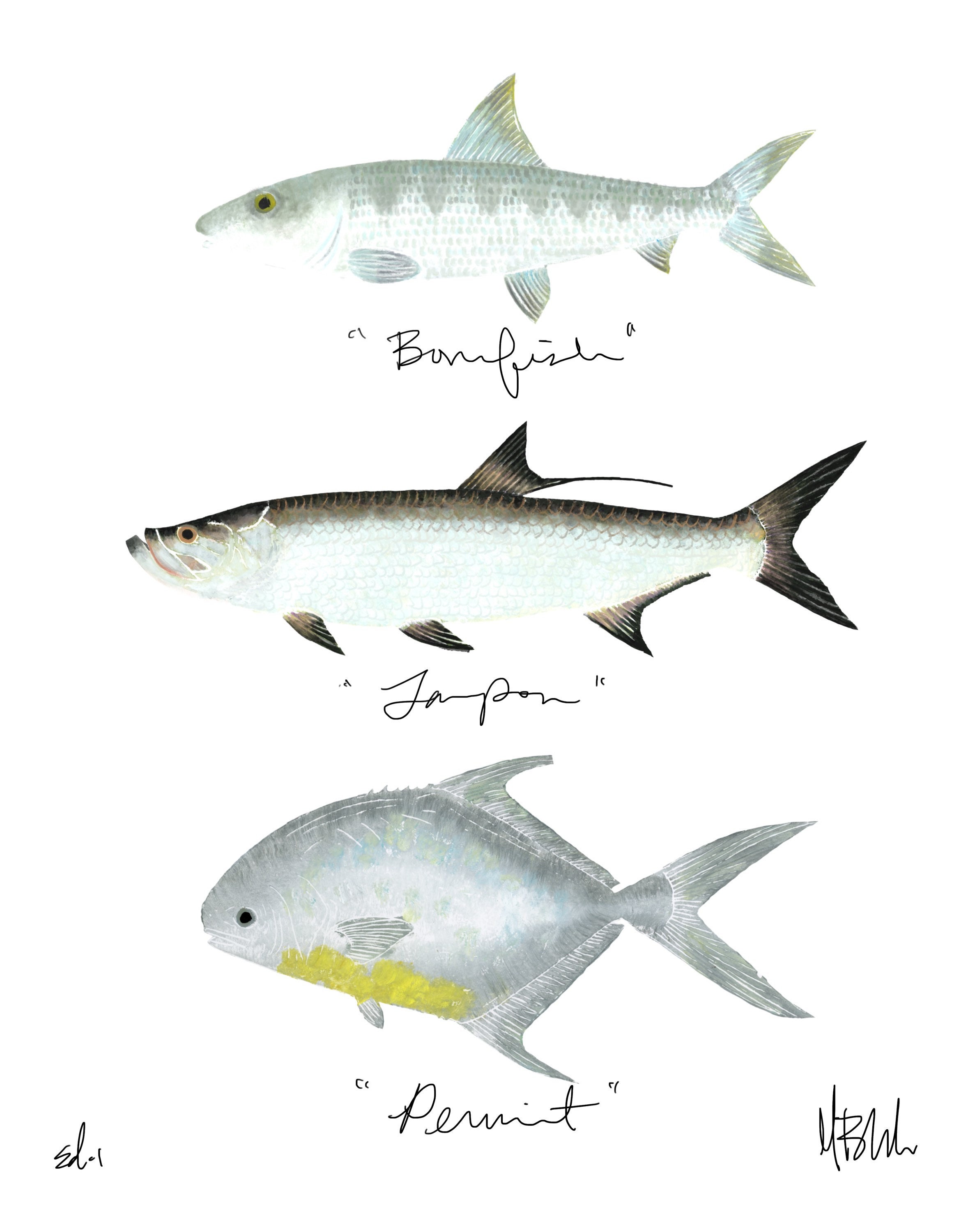 saltwater flyfishing グランドスラムリトグラフ saltwater flyfishing グランドスラムリトグラフ saltwater flyfishing