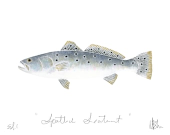 Spotted Seatrout Print