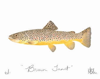 Brown Trout Print