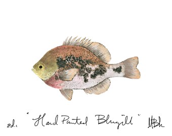 Hand Painted Bluegill