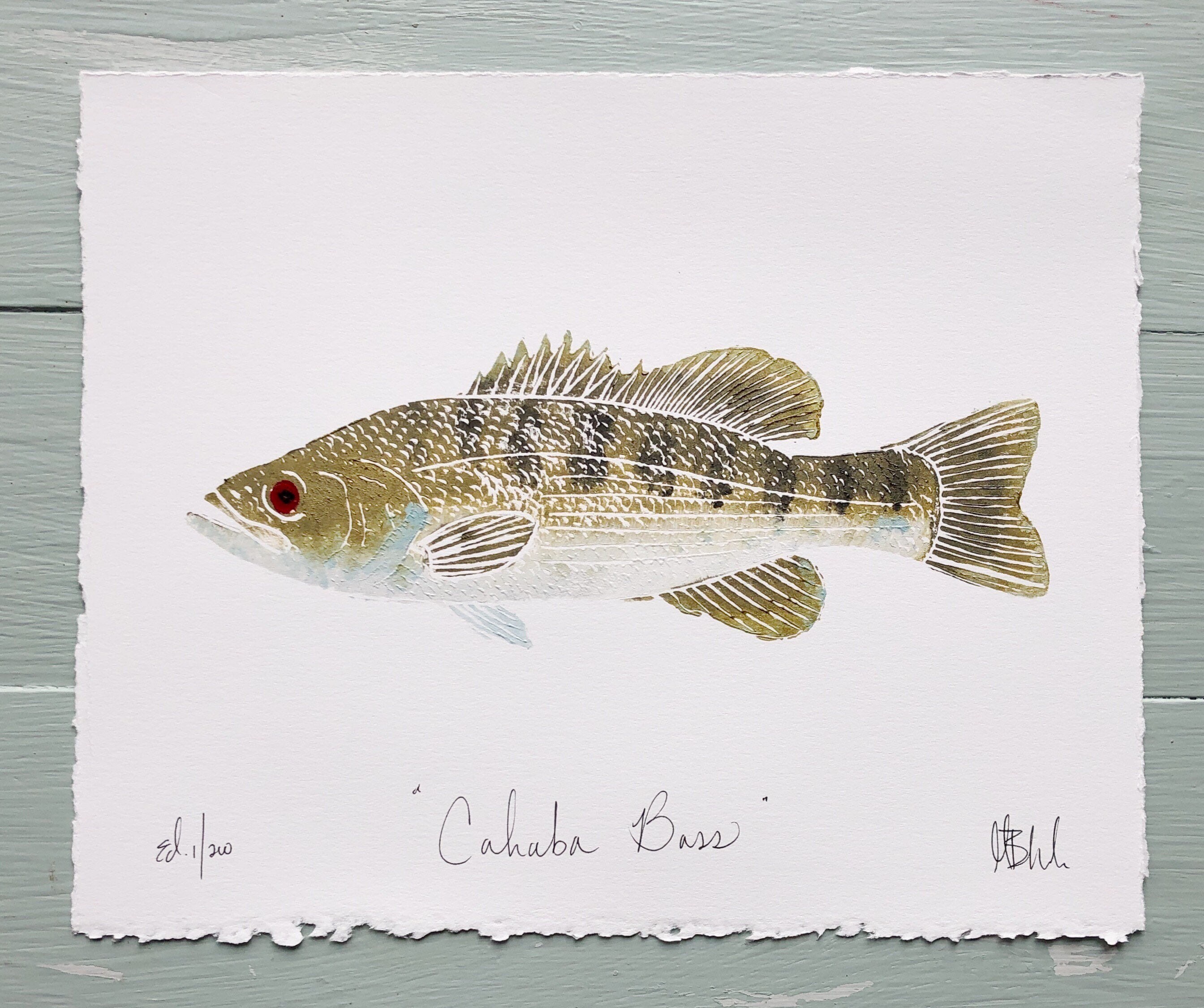 Cahaba Bass 8x10 Etsy