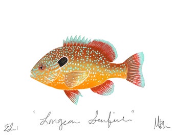 Longear Sunfish Print