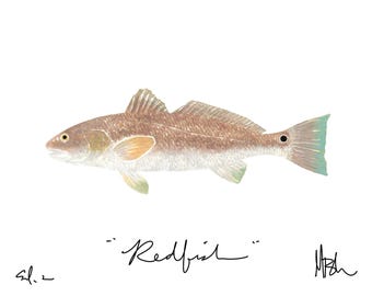Redfish Print