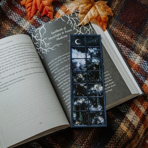 Night Sky & Fireflies | Celestial Window Bookmark