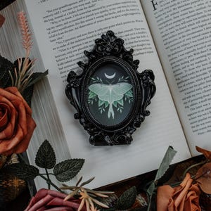 May include: A black ornate frame with a green and white luna moth illustration inside. The frame is sitting on an open book with brown roses and leaves around it.