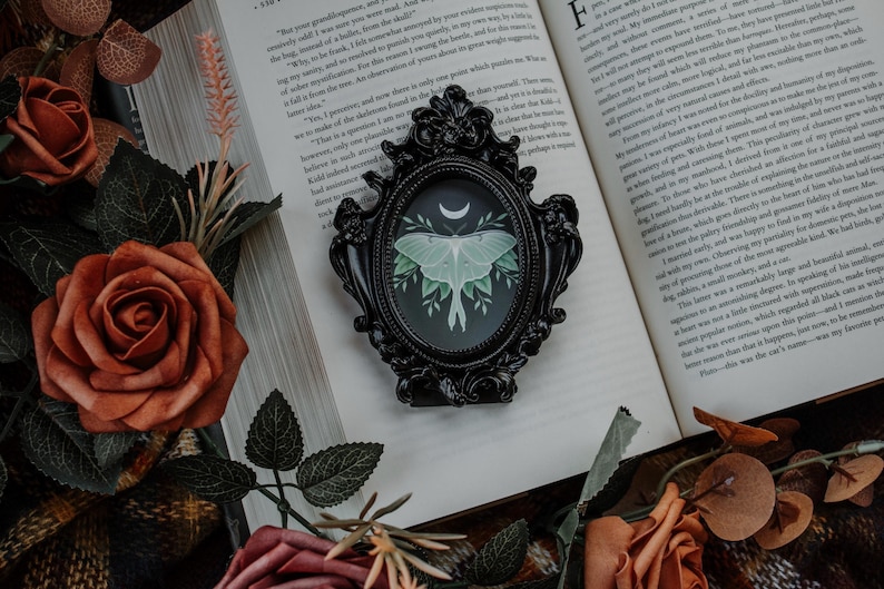 May include: A black ornate frame with a green and white luna moth illustration inside. The frame is sitting on an open book with brown roses and leaves around it.
