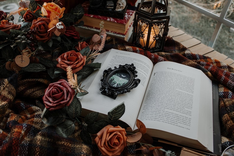 May include: An open book with a black ornate frame with a moth illustration inside. The book is on a plaid blanket with a lantern and fall-themed flowers.