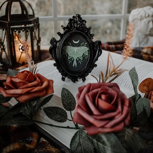May include: A black ornate frame with a green and white luna moth illustration inside. The frame is sitting on a book with red roses and green leaves.