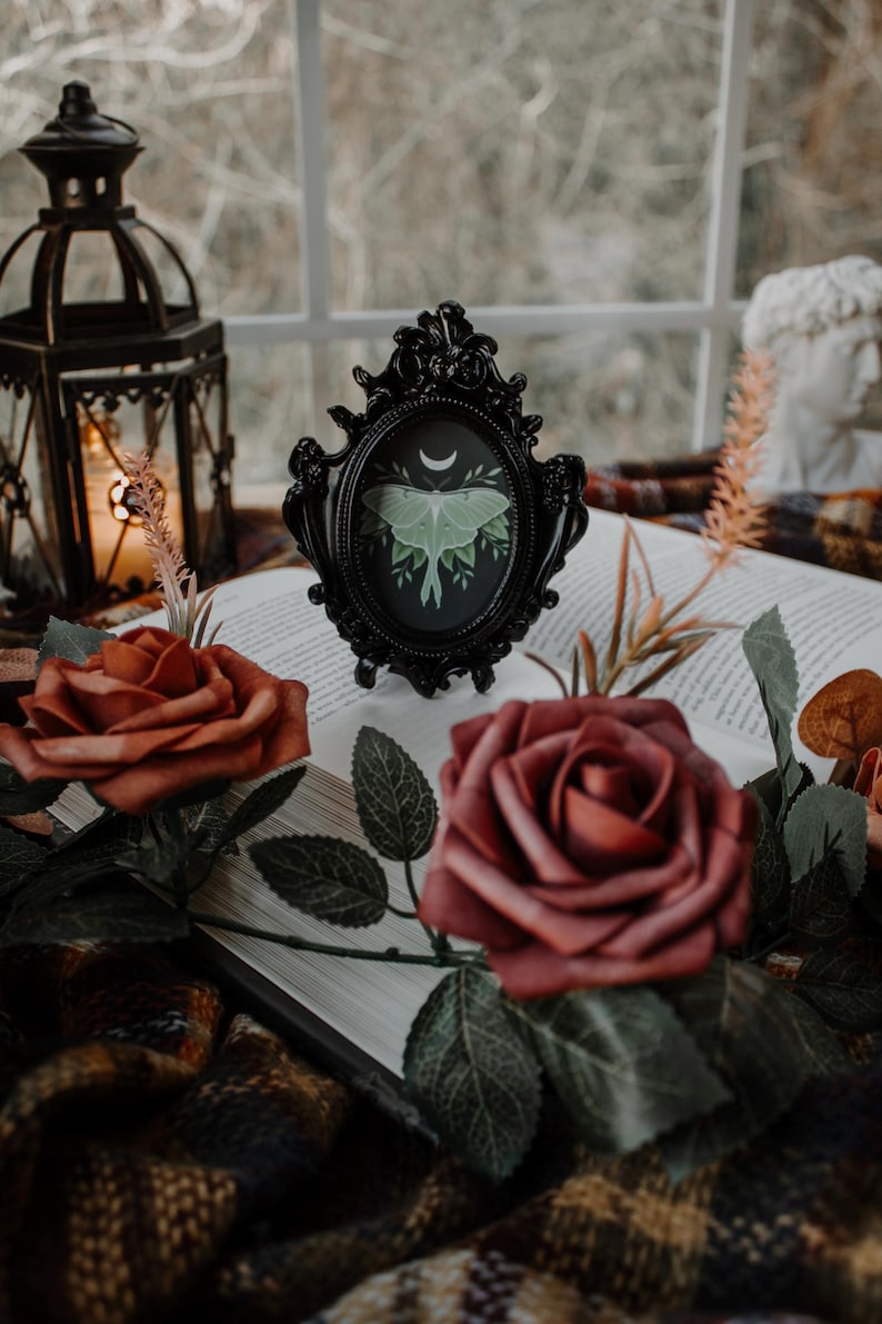 May include: A black ornate frame with a green and white luna moth illustration inside. The frame is sitting on a book with red roses and green leaves.