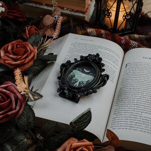 May include: An open book with the title "The Black Cat" on the right page. A black ornate frame with a white moth and crescent moon illustration is on the left page. The book is surrounded by burgundy roses and green leaves.
