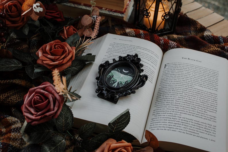 May include: An open book with the title "The Black Cat" on the right page. A black ornate frame with a white moth and crescent moon illustration is on the left page. The book is surrounded by burgundy roses and green leaves.