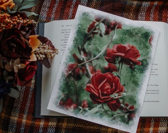 Rose Oil Painting Print