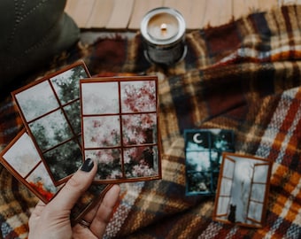 Juego de 5 pegatinas para ventanas / Ilustraciones de temporada